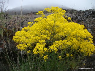 otta Acqua Vitale04-05-2014 11-15-08